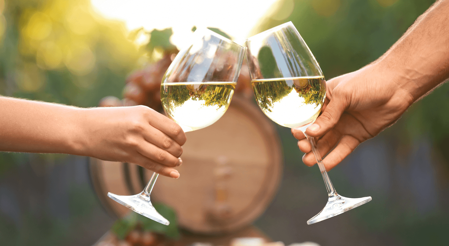Two people toasting with white wine glasses at a vineyard