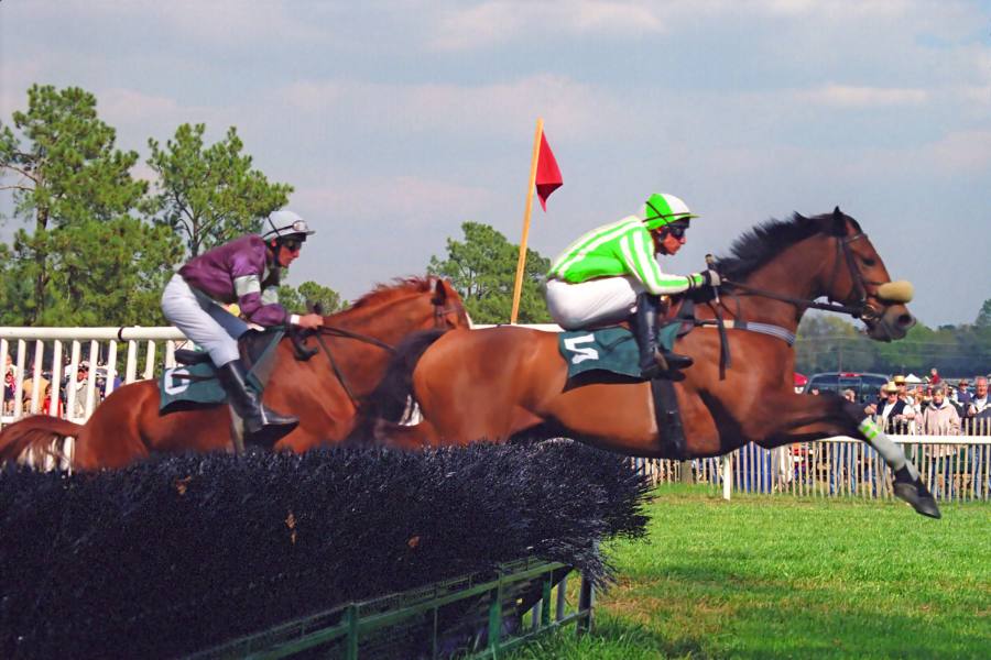 Steeplechase race in Virginia