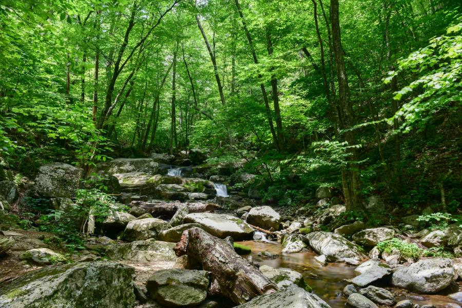 Rocks and a small stream in the woods along a hike in Shenandoah National Park