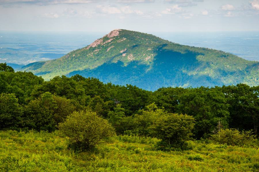 View of Old Rag Mountain from Skyline Drive with trees in the foreground.