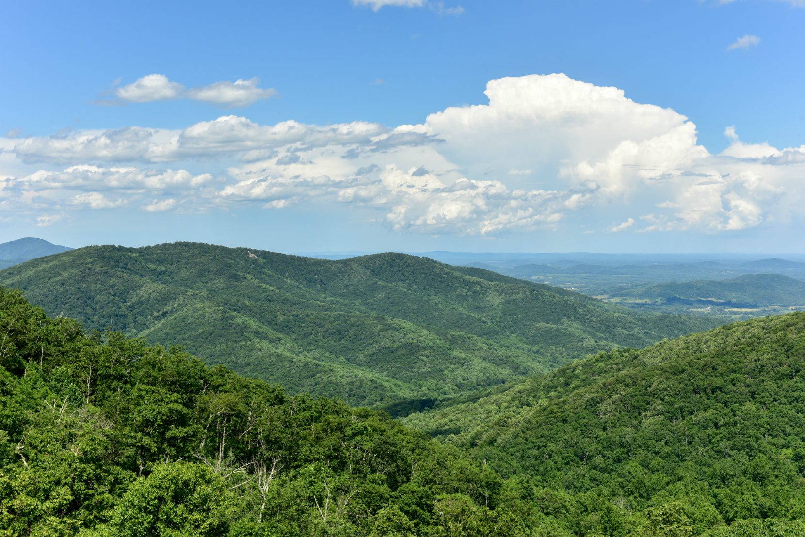 Scenic Mountains in the Shenandoah National Park