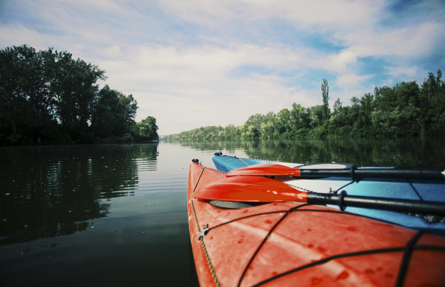 Kayaking Adventure in the Shenandoah River