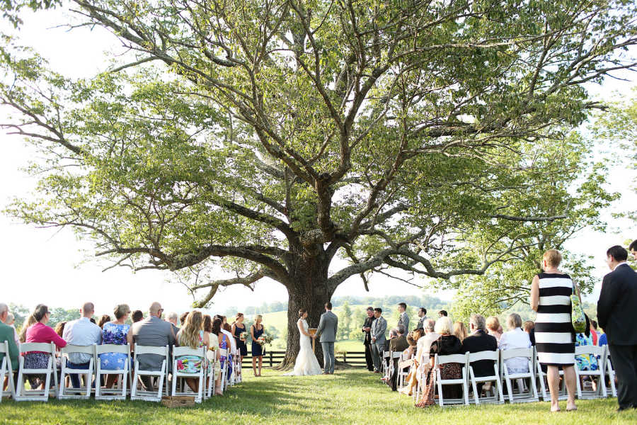Big wine country wedding ceremony at Glen Gordon Manor, under giant tree