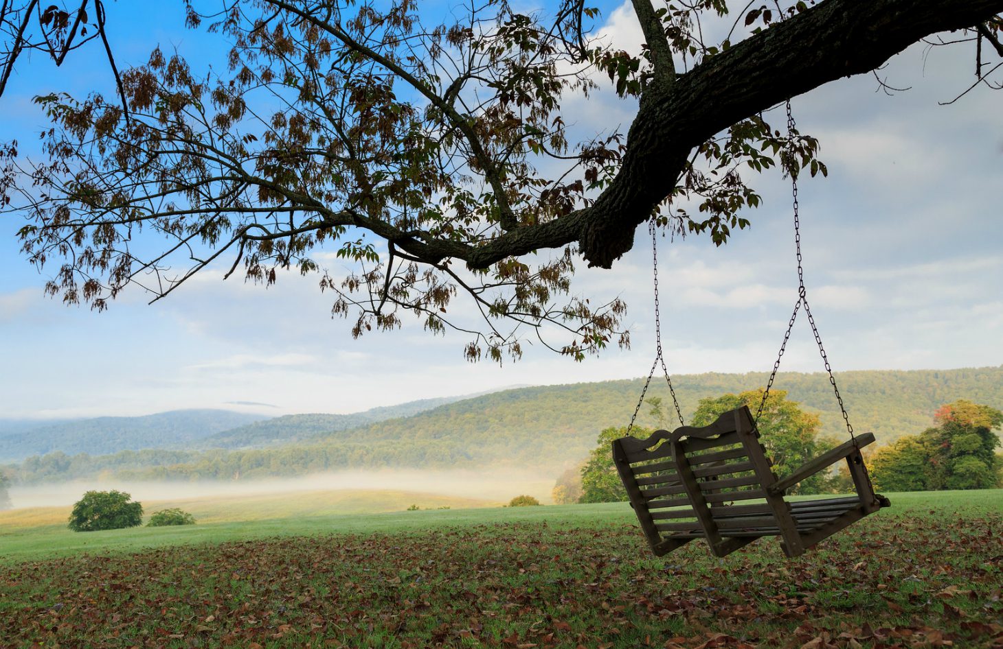 Tree Swing Overlooking the Property at Glen Gordon Manor