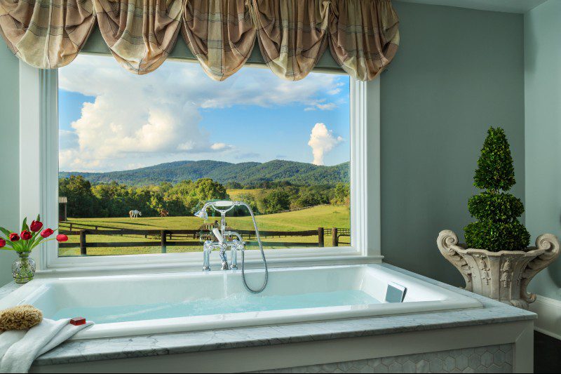 bathtub overlooking scenery