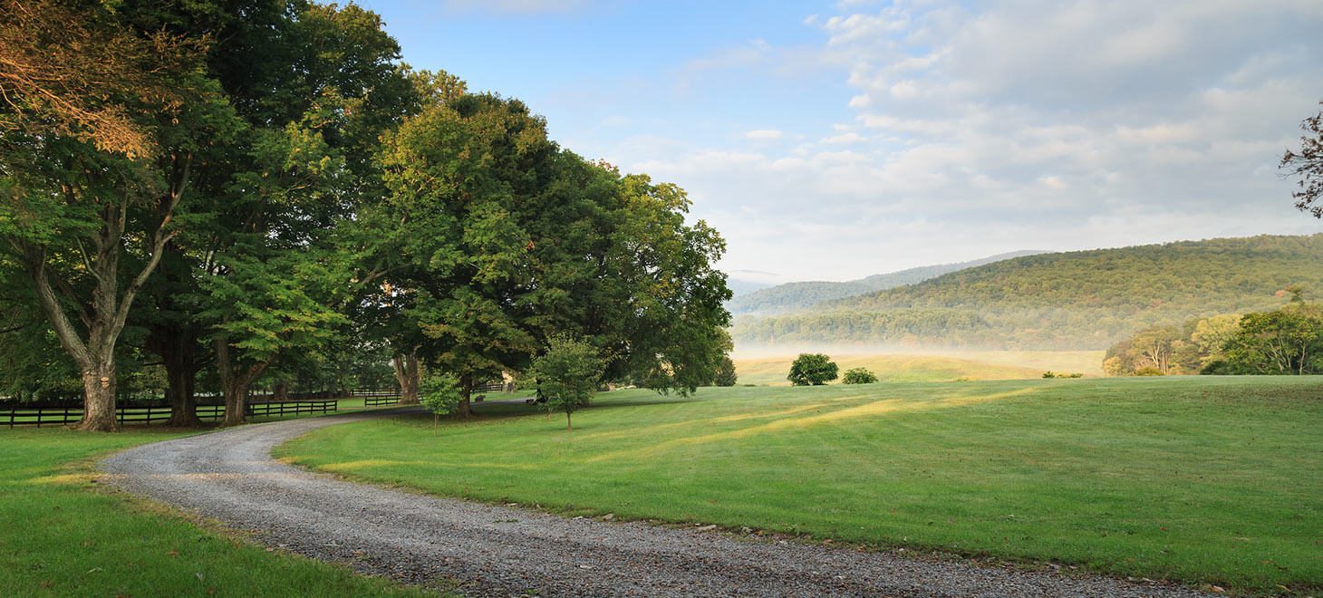 Road with grass and trees during a summer getaway in Virginia