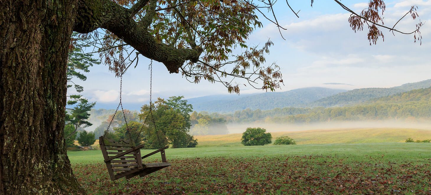 tree swing with view at a Skyline Drive bed and breakfast