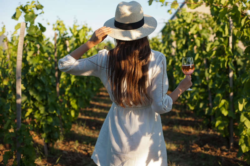 Tour the Vineyards