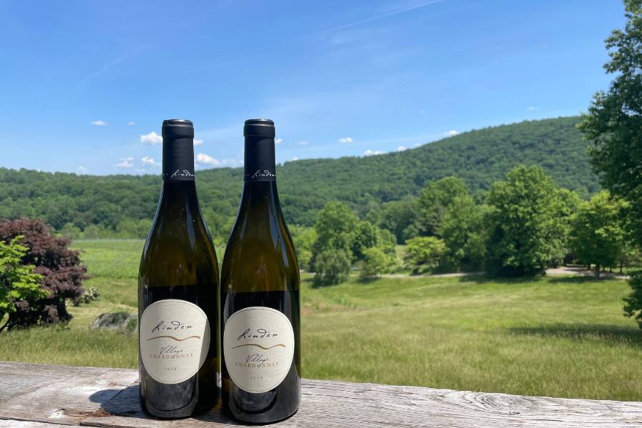 Two bottles of Linden wines in front of vineyards