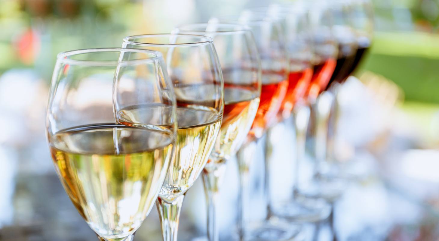 Row of different types of wines in glasses